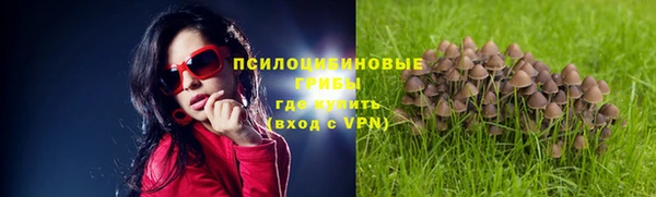 амф Алексеевка