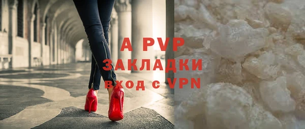 спиды Новозыбков