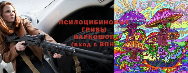 прущая мука Няндома