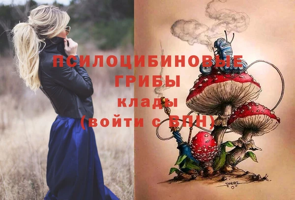 прущая мука Няндома