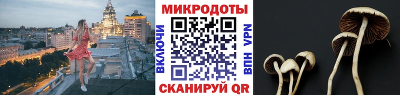 Галлюциногенные грибы Magic Shrooms  Мышкин 